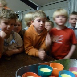 Koala 119 - Scouts en Gidsen Zaventem 